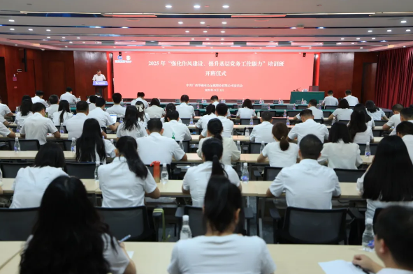 錘煉過硬作風(fēng) 筑牢戰(zhàn)斗堡壘 ——華錫有色2025年“強(qiáng)化作風(fēng)建設(shè)，提升基層黨務(wù)工作能力”培訓(xùn)班圓滿舉辦